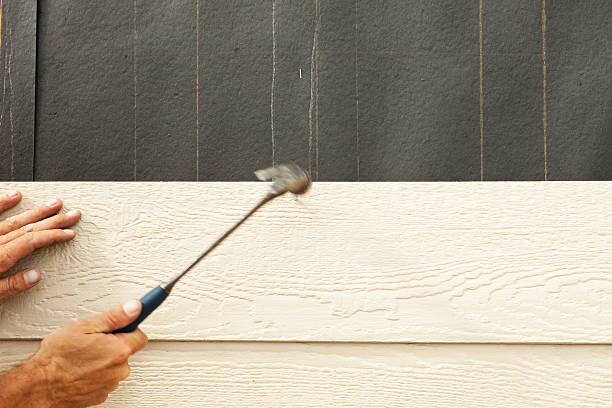 Best Siding Painting and Refinishing  in Contoocook, NH